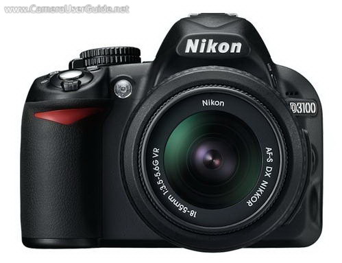 Nikon D3100