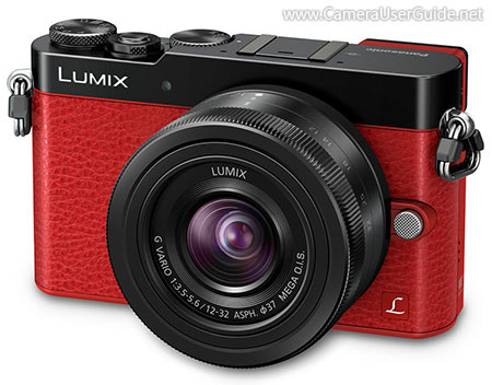 Panasonic Lumix DMC-GM5