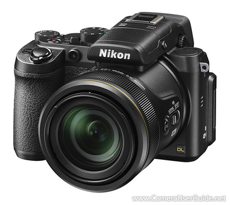 Nikon DL24-500