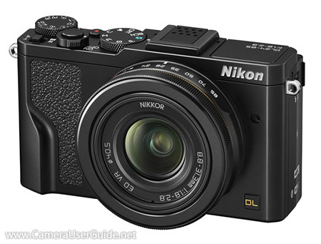 Nikon DL24-85